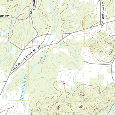 Livingston, GA (2020, 24000-Scale) Preview 2