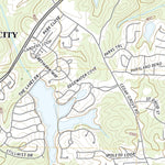 Palmetto, GA (2020, 24000-Scale) Preview 3