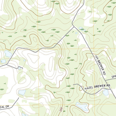 Pine Grove, GA (2020, 24000-Scale) Preview 3