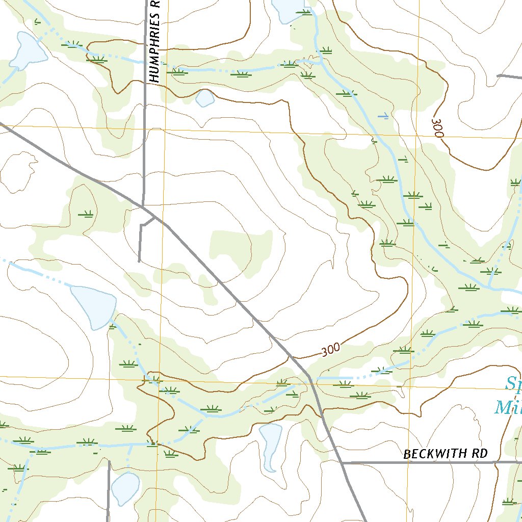 Pelham, GA (2020, 24000Scale) Map by United States Geological Survey
