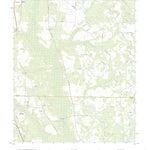 Smithville East, GA (2020, 24000-Scale) Preview 1