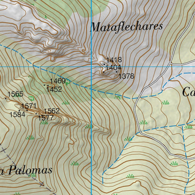 Tabuyo del Monte (0230-2)