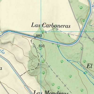 Santa María del Monte de Cea (0196-1)