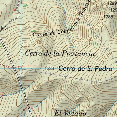 Cerro de San Pedro (0509-3)
