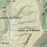 Coy (0932-1)