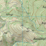 Elizondo (0091-1)
