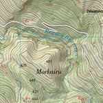 Elizondo (0091-1)