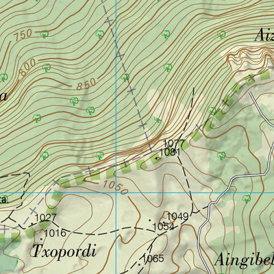 Altsasu/Alsasua (0114-3)