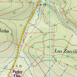 San Pedro de Rozados (0503-1)