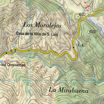 Constantina (0920-4)