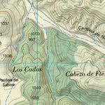 Caminreal (0491-4)