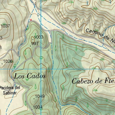 Caminreal (0491-4)