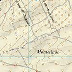 Cebolla (0627-2)