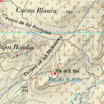 Cebolla (0627-2)