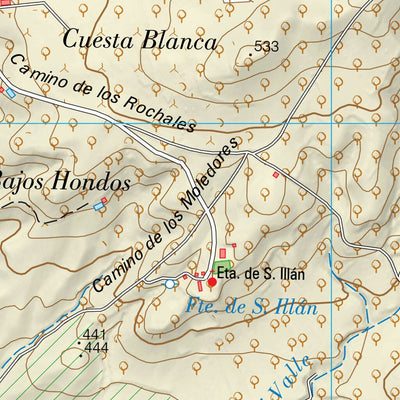 Cebolla (0627-2)