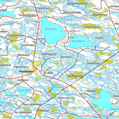 Ala-Vuokki 1:100 000 (R53L)