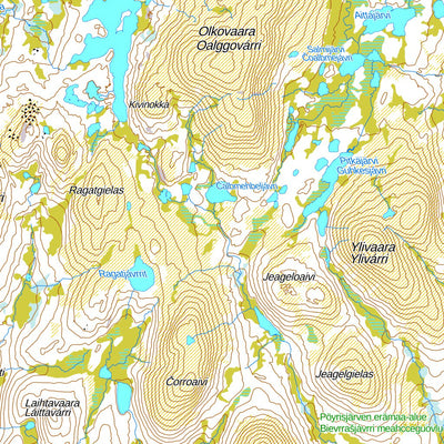 Vuontisjärvi 1:100 000 (V42R)