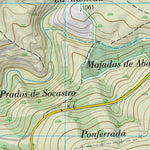 El Puente (0267-2)