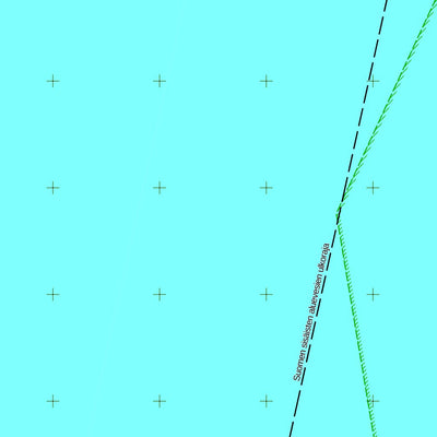 Rauma 1:50 000 (M314)