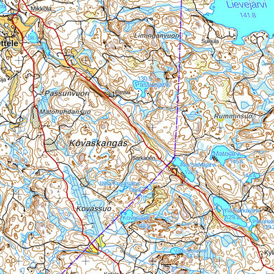 Mustaniemi 1:50 000 (M423)