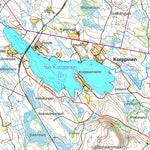 Viitasaari 1:50 000 (P441)