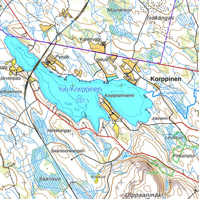 Viitasaari 1:50 000 (P441)