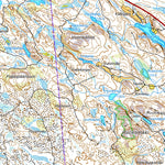 Viitasaari 1:50 000 (P441)