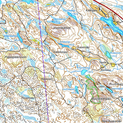 Viitasaari 1:50 000 (P441)