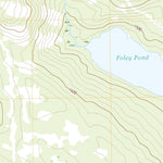 Foley Pond, ME (2021, 24000-Scale) Preview 2