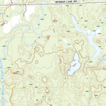 Barnes Lake, MI (2019, 24000-Scale) Preview 3