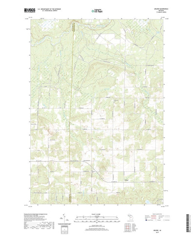 Arlene, MI (2019, 24000-Scale) Preview 1