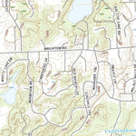 Brighton, MI (2019, 24000-Scale) Preview 3