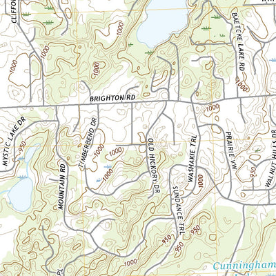 Brighton, MI (2019, 24000-Scale) Preview 3