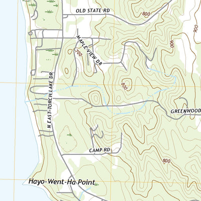 Central Lake, MI (2019, 24000-Scale) Preview 2