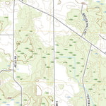 Dansville, MI (2019, 24000-Scale) Preview 3