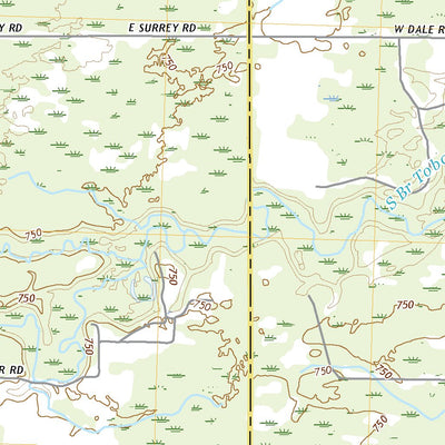 Coleman, MI (2019, 24000-Scale) Preview 3