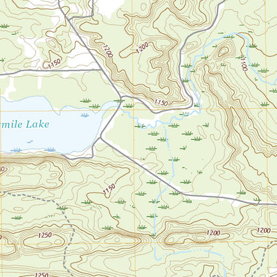 Ralph SW, MI (2019, 24000-Scale) Preview 3
