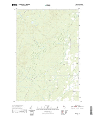 Pine Lake, MI (2019, 24000-Scale) Preview 1