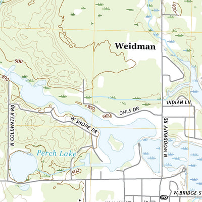 Weidman, MI (2019, 24000-Scale) Preview 3