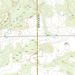 Smyrna, MI (2019, 24000-Scale) Preview 2