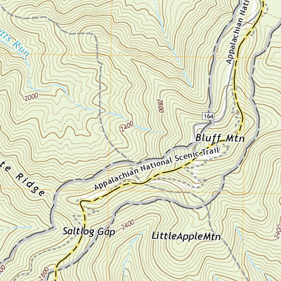 Buena Vista, VA (2019, 24000-Scale) Preview 3