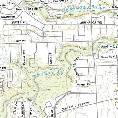 Wayne, MI (2019, 24000-Scale) Preview 3