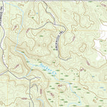 Woods, MI (2019, 24000-Scale) Preview 3