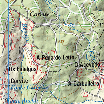 Guitiriz (0046)