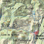 Guadix (1011)
