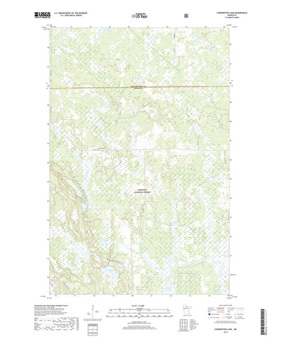 Coddington Lake, MN (2019, 24000-Scale) Preview 1