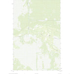 Pine Island Lookout Tower, MN (2019, 24000-Scale) Preview 1