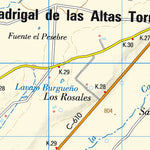 Madrigal de las Altas Torres (0454)