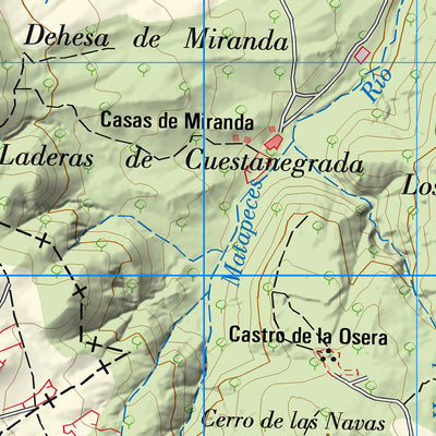 Mirueña de los Infanzones (0505)