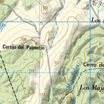 Chiclana de la Frontera (1069)